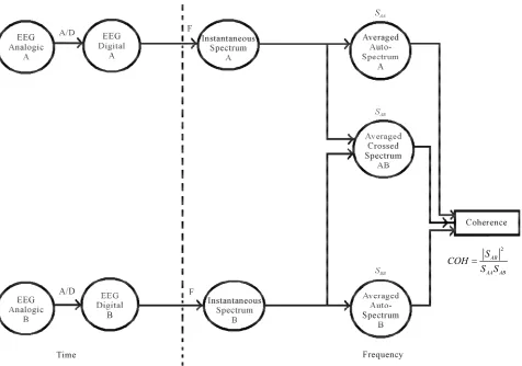 Figure 2. Method for calculating coherence. The analog signals From the digital signals, the instantaneous spectrum (1 segment) of each signal is obtained and, later, the autospectra (and crossed spectrum (A and B are digitized through the analogical-digit