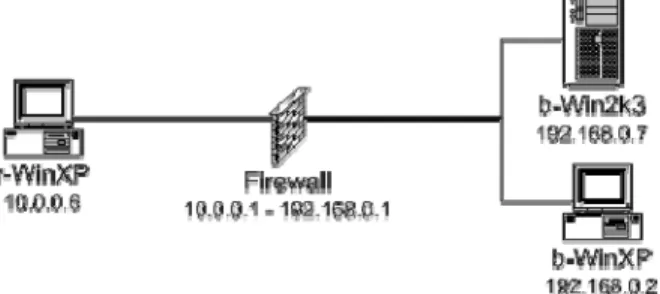 Figure 5: Botnet lab virtual machine network 