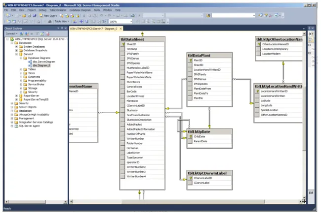 Figure	  3-­‐3:	  SQL	  Server	  