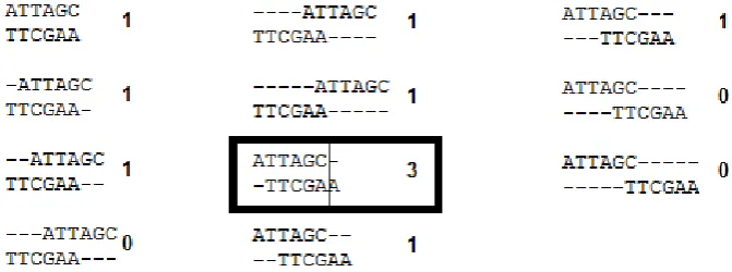 Fig. 1. Possible Sliding Alignments Between Two DNA Subsequences Along with Their Match 
