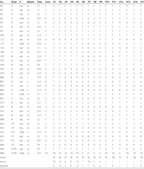 Table 3 Position of the 36 polymorphisms detected in the 91 accessions sequenced, after eliminating 26 singletonsand one SSR, and structure of the 15 haplotypes observed