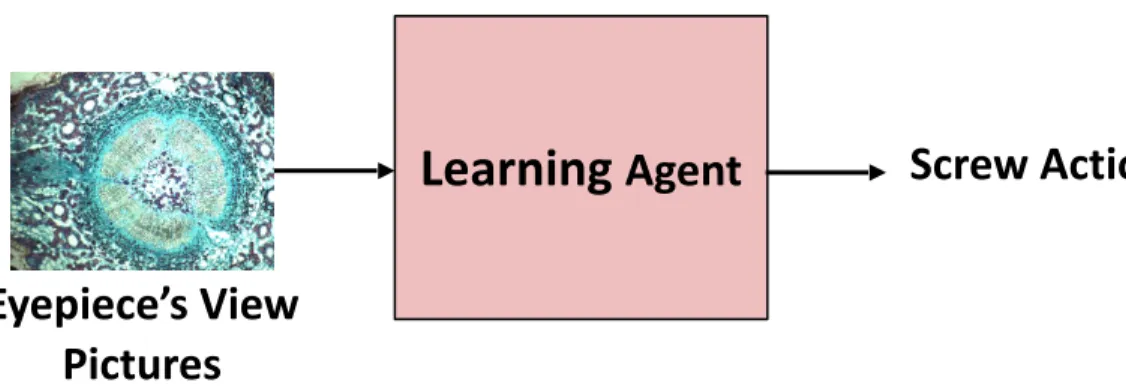 Figure 3: Atari 2600 games, which could be played by  DRL-trained agent with vision input [1].