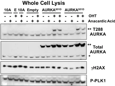 Figure 2.2  
