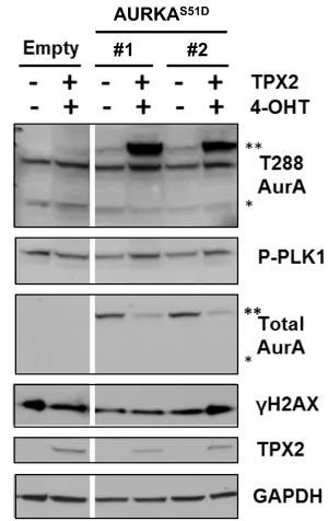 Figure 2.5  