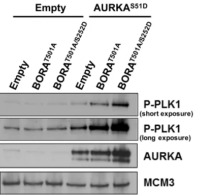 Figure 2.6  