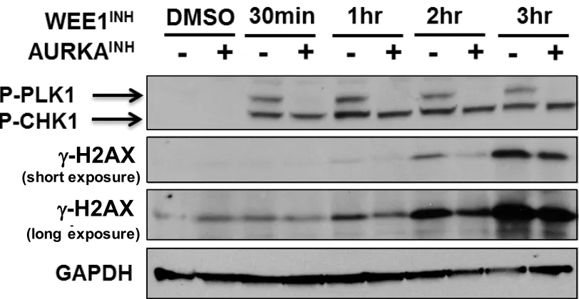 Figure 2.8  