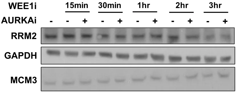 Figure 2.9  