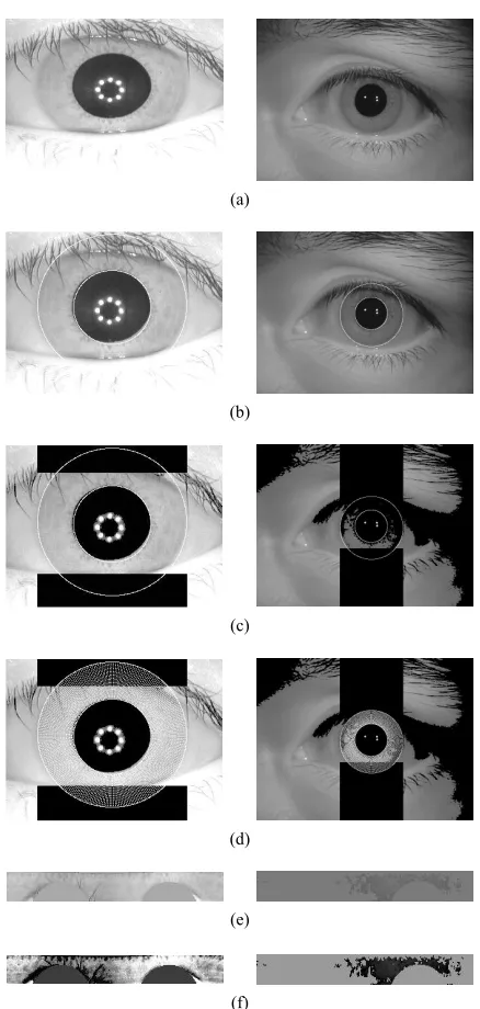 Figure 5. Irisimage pre-processing steps of a sample of each subset of CASIA Iris database, CASIA V3-Interval and CASIA V3-Lamp (left and right), (a) original iris; (b) iris localization; (c) eyelash and eyelids detection; (d) unwrapped iris with a radial 