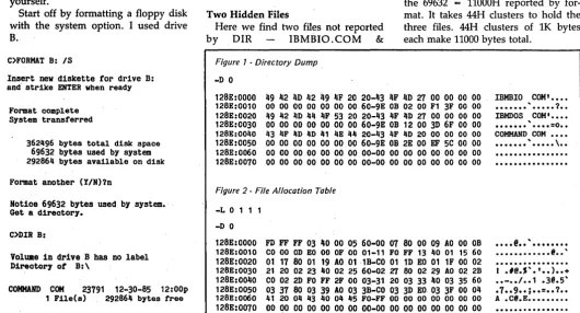 Figure 1 • Directory Dump 
