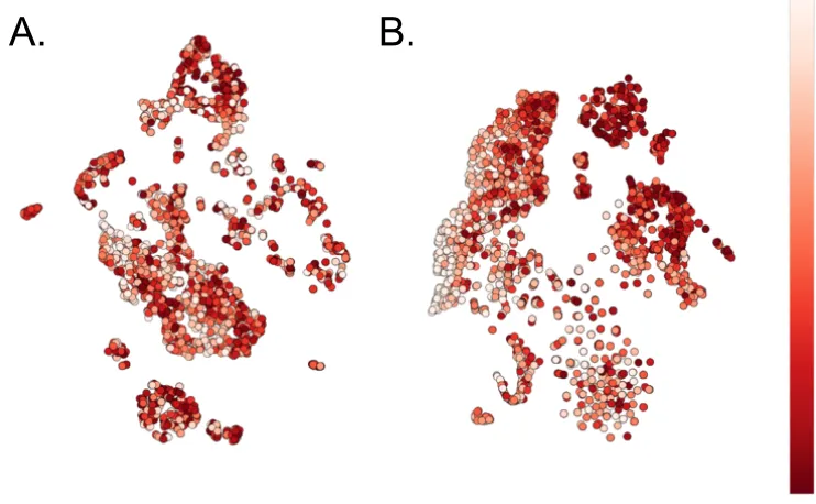 Figure 2.7: ALS Survival Visualization (Raw vs. Constructed Features).