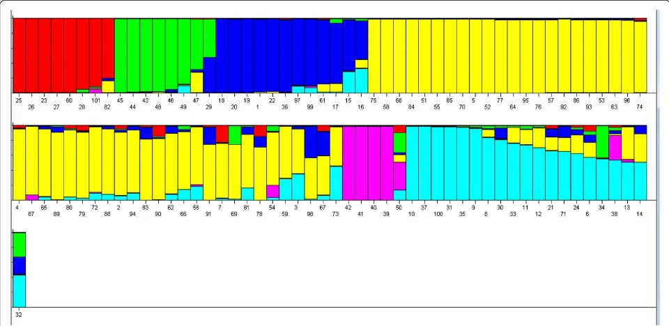 Figure 2 Estimated population structure usingaccession numbers as shown in details in Table 1; 1-26 and 100 are commercial Thai rice lines; 27-37 are landraces with selected traits; 38-42 arethe otherpink, the other k = 6; individual rice line is represent