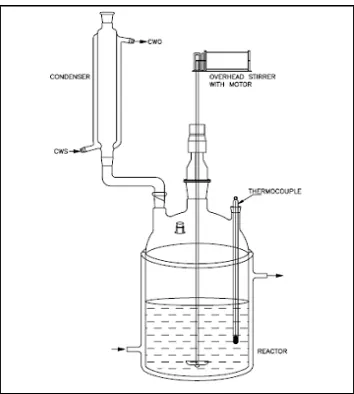 Fig 2.1: Schematic Representation of Batch Kinetics Setup 