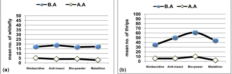 Figure 4. General mean numbers of B. tabaci caught before application (B.A) and after application (A.A) of the tested products on both the yellow sticky traps (a) and tomato plants (b) during the two seasons