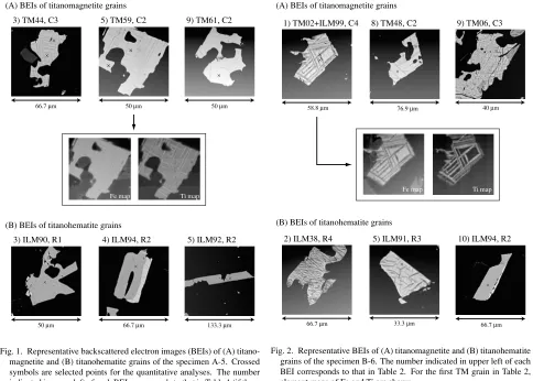 Fig. 1. Representative backscattered electron images (BEIs) of (A) titano-magnetite and (B) titanohematite grains of the specimen A-5