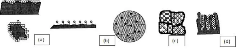 Figure 2: Classification of immobilization methods 