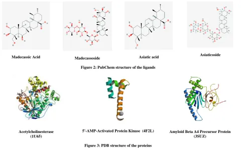 Figure 2: PubChem structure of the ligands   