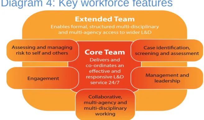 Diagram 4: Key workforce features