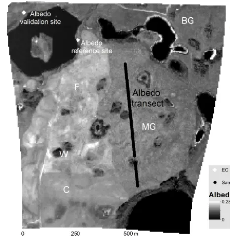 Figure 2. Reﬂectance spectra collected at four sample points overmixed-grassland vegetation at the upland area on 5 August 2007.Reﬂectance values affected by noise at corresponding wavelengthswere removed.