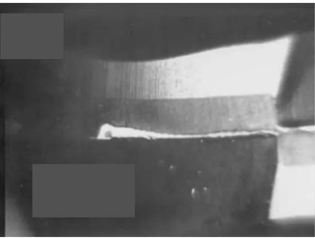 Figure 2.5: A typical flank wear pattern observed on the solid carbide cutter (Koshy et al., 2002) 