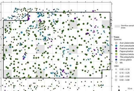 Figure 1. Position of the 11 subplots (grey shaded areas, 10 m × 10 m) in which stemﬂow was sampled within the forest plot.