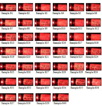 Figure 3. U.V. light examination of plates    