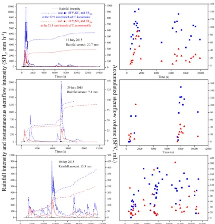 Figure 4. Stemﬂow synchronicity of C. korshinskii and S. psammophila to rain during representative events with different rainfall-intensitypeak amounts.
