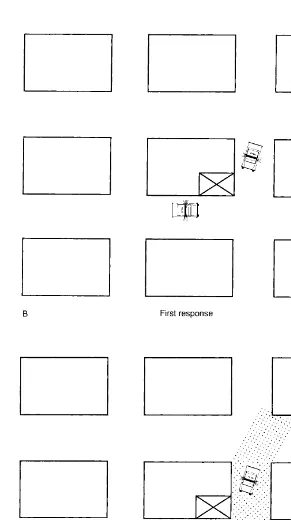 Figure 4.2 (continued)