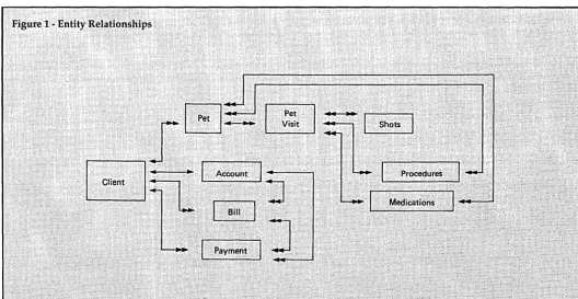 Figure 1· Entity Relationships' 