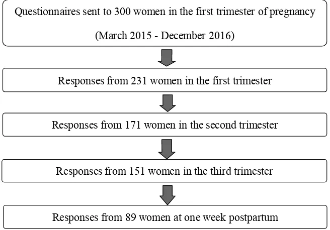 Figure 1. Recruitment of subjects. 