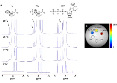Figure 2.2 High-resolution NMR-derived location of exchangeable protons and CEST maps