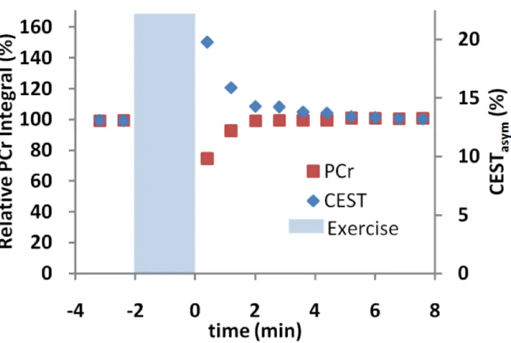 Figure 2.8 CrCEST vs. 31P MRS. The signal from creatine measured by CEST in skeletal muscle pre- and post-exercise showed good agreement with the results from 31P MRS measurements of PCr with the same exercise paradigm