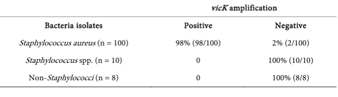 Figure 1. Amplification of vicK gene fragment of representative eleven S. aureus clinical isolates, resolved in 1.2% agarose gel and stained with ethidium bromide