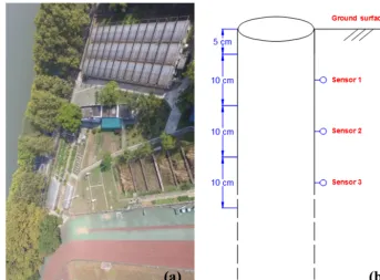 Figure 11. The meteorological information and observed soil moisture over the experimental time