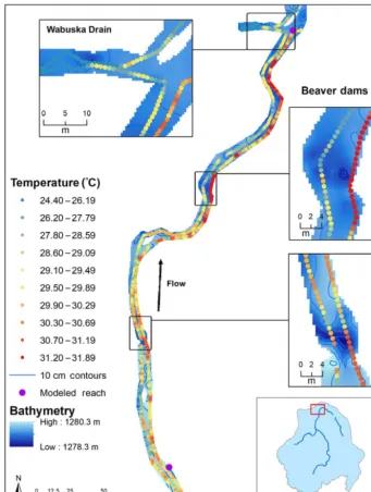 Figure 4. Main stem Walker River daily maximum stream temperature on 29 June 2015. Model reach points represent the division between300 m model reaches.