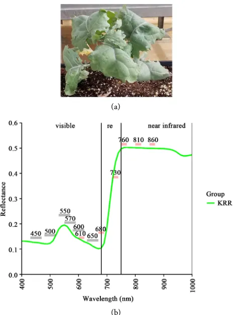 Table 2. Average digital count values of kale red Russian leaf recorded by the integrated six-channel visible and near infrared spectrometers ±2 hours of solar noon