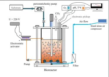 Figure 1. The bioreactor with electrostatic activation of microbial biomass         