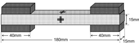 Fig. 1 Schematic of off-axis tensile specimens. mLT(a, t) and mLR(a, t) represent the viscoelastic Poisson’s ratios