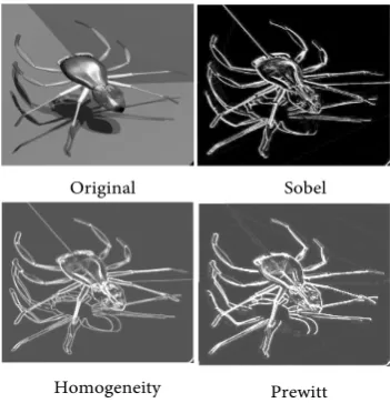 Figure 5. Spider images using the three edge detectors. 