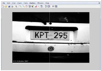 Figure 4. License plate after the filtering process4. License plate after the filtering process  