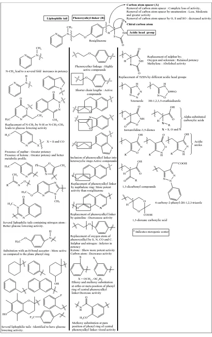 Figure 1: SARs studies of oral hypoglycemic agents thiazolidine-2,4-diones  