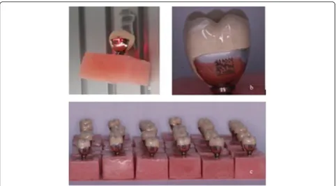 Fig. 3 Control of microchips (2 × 3 × 0.75 mm)