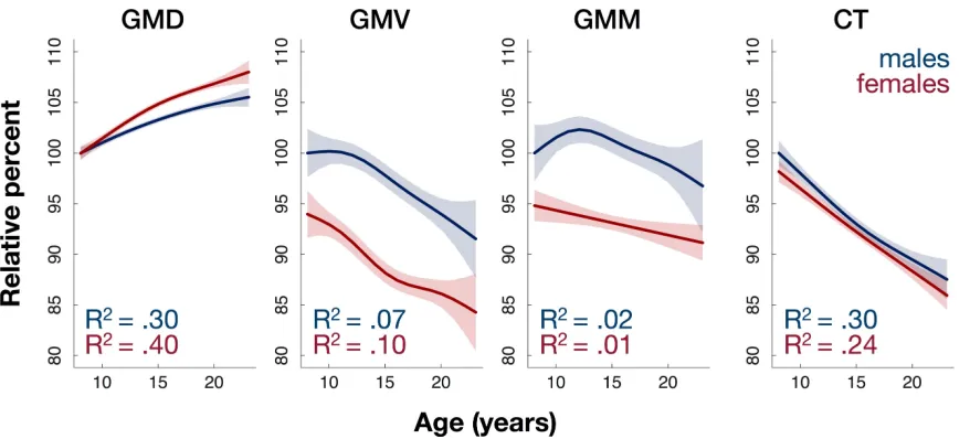 Figure 2.2 Density increases in adolescence while other measures largely decrease. Females have higher density and lower volume
