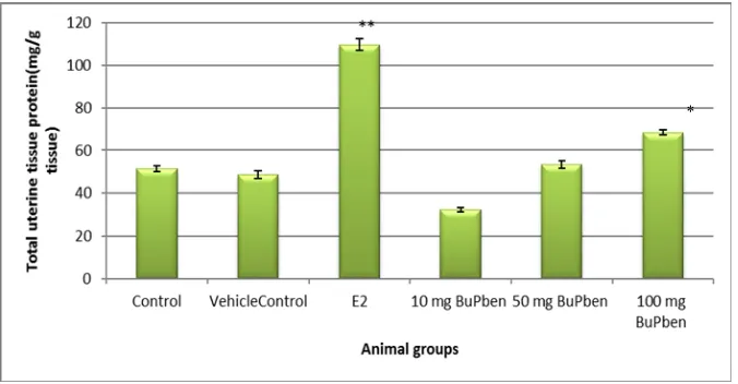 Figure 3: Effects of exposure (7 days) of BuPben on morphometry of uterus in adult mice