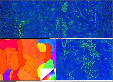 Figure 7. EBSD maps of the transverse cross-section of the EB weld. (a) Local misorientation map of the entire width of the weld; (b) High magnification IFP map of the centre line of the weld (colour key is shown in the insert); (c) Local misorienta-tion m