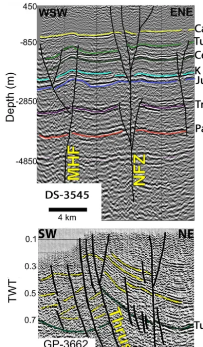 Figure 2. Seismic lines at southern Golan. (a) Seismic line DS-3545showing a ﬂower structure reinterpreted following Meiler (2011).Vertical scale in meters