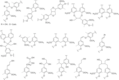 Fig. 1 Partial structures of kraft lignin [26, 27]