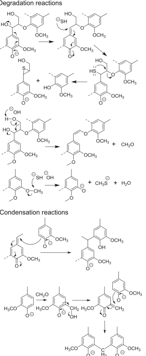 Fig. 2 Typical reactions of lignin during kraft pulping process [28, 29]