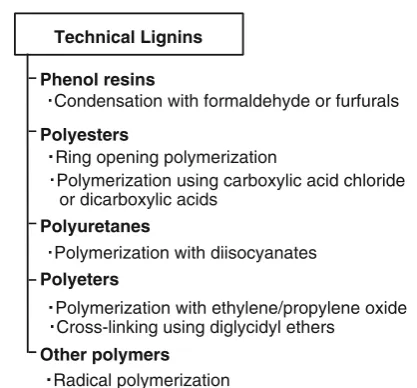 Fig. 6 Functionalization of technical lignins as polymers