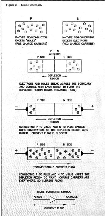 Figure 2 -Diode internals. 