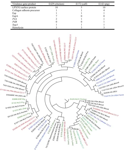 Table 3Table 3. Virulence factors in animal  E. faecium 